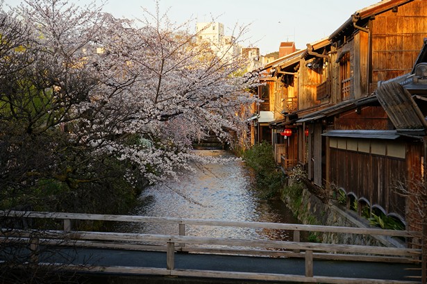 what to see kyoto (1)