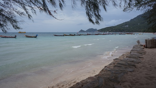 best things to do in koh tao
