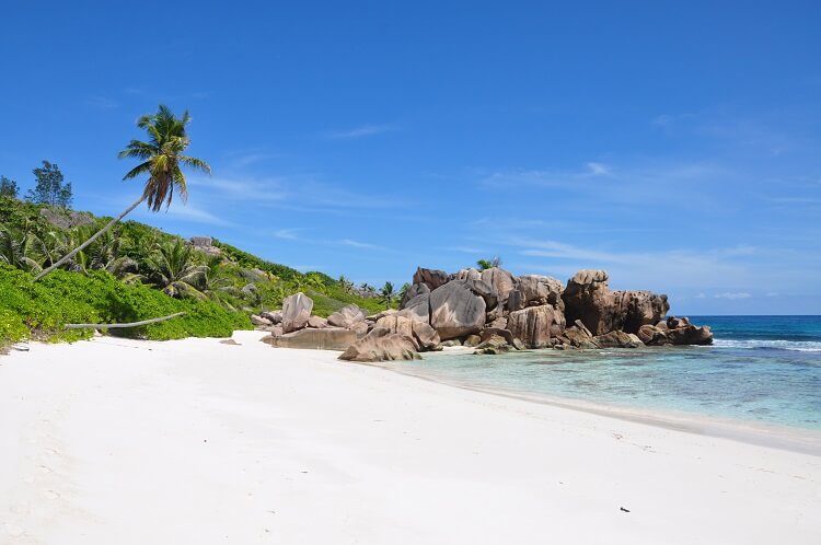 things to do in seychelles